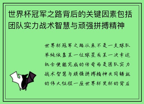 世界杯冠军之路背后的关键因素包括团队实力战术智慧与顽强拼搏精神
